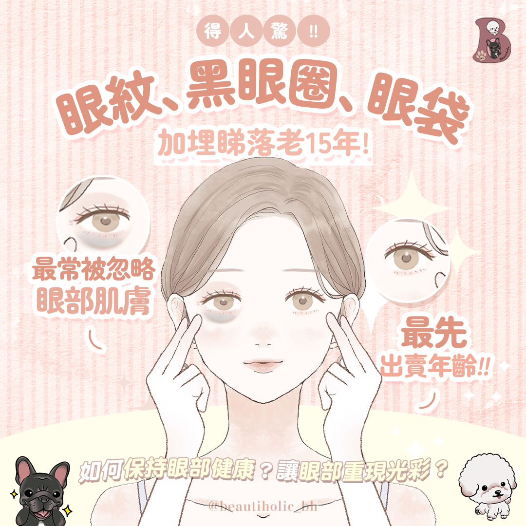 介紹圖 1