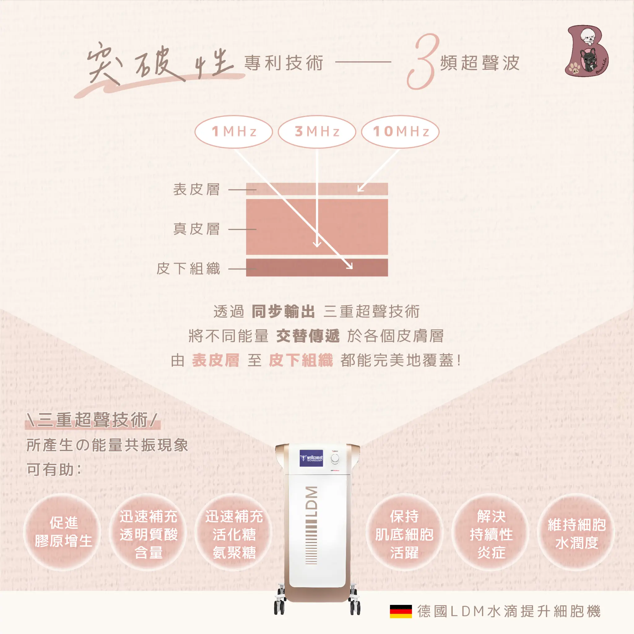 LDM水滴細胞再生 介紹 2